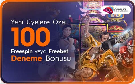 Twinplay Giriş Sorunu ve Çözüm Yolları